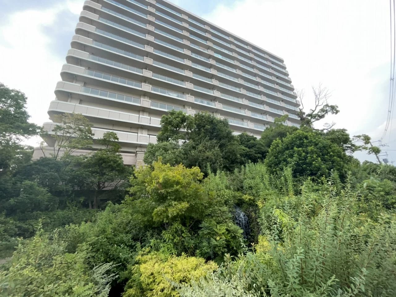 三国の川辺の森リバーガーデン