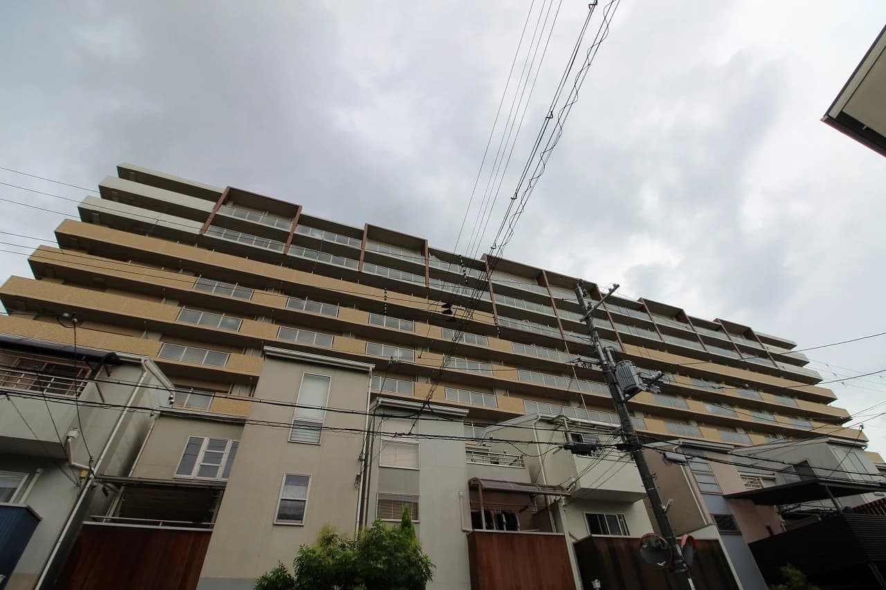 サンフェスタ